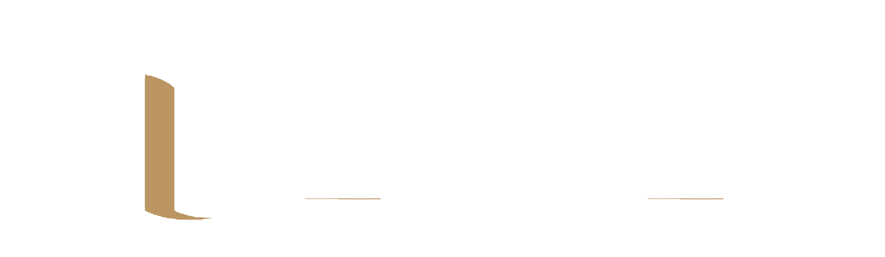 COLOMBO — Conseils & Solutions